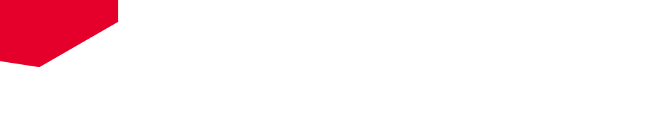 Logotipo Audit Partner